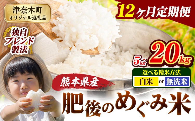 
            【12ヶ月定期便】無洗米 も選べる 熊本県産 ブレンド米 肥後のめぐみ米 5kg 10kg 15kg 20kg 熊本県産 ふるさと納税 精米 米 こめ ふるさとのうぜい コメ お米 おこめ《11月から出荷開始》
          