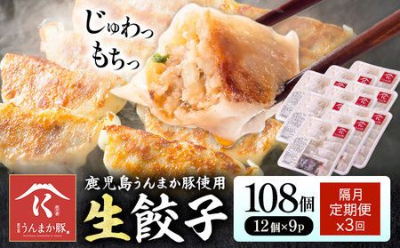 【隔月定期便×3回】鹿児島 うんまか豚 生餃子 108個 株式会社 寺師《お申し込み翌月から出荷》鹿児島県 さつま町 餃子 ギョウザ 焼き餃子 水餃子