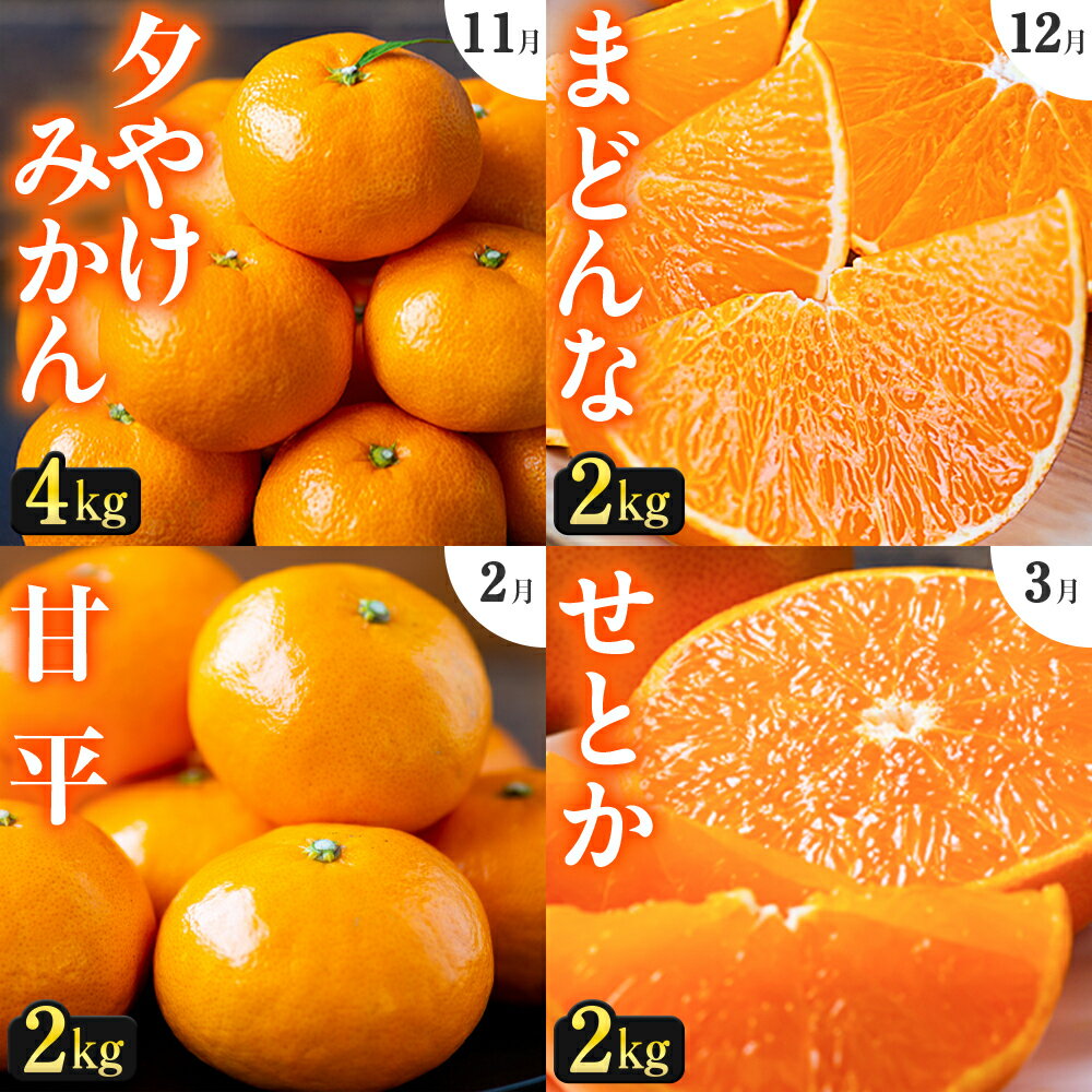 【ふるさと納税】【発送月固定定期便】「こたつの上の冬物語」人気の4品種!【H49-70】全4回_【4056121】YWTZ002
