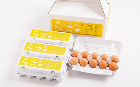 平飼い有精卵『たつかの恵み』40個×3ヶ月連続お届け 【 ふるさと納税 人気 おすすめ ランキング 卵 たまご タマゴ たまごかけご飯 目玉焼き ゆでたまご 卵焼き 定期便 北海道 壮瞥町 送料無料 