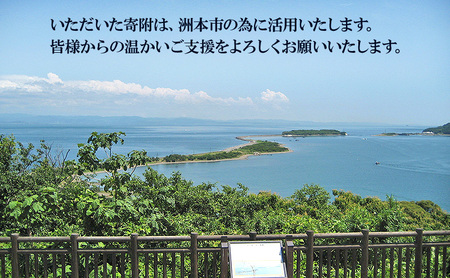 【返礼品なし】洲本市応援寄附 | ふるさと納税 寄附のみ 兵庫県 洲本市 淡路島