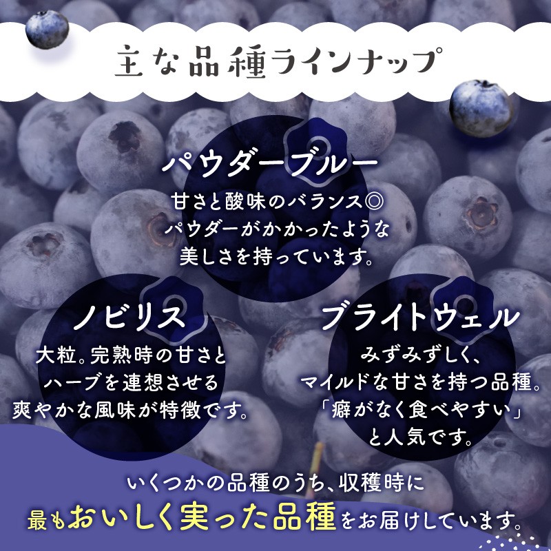 市産ブルーベリー（1kg）
