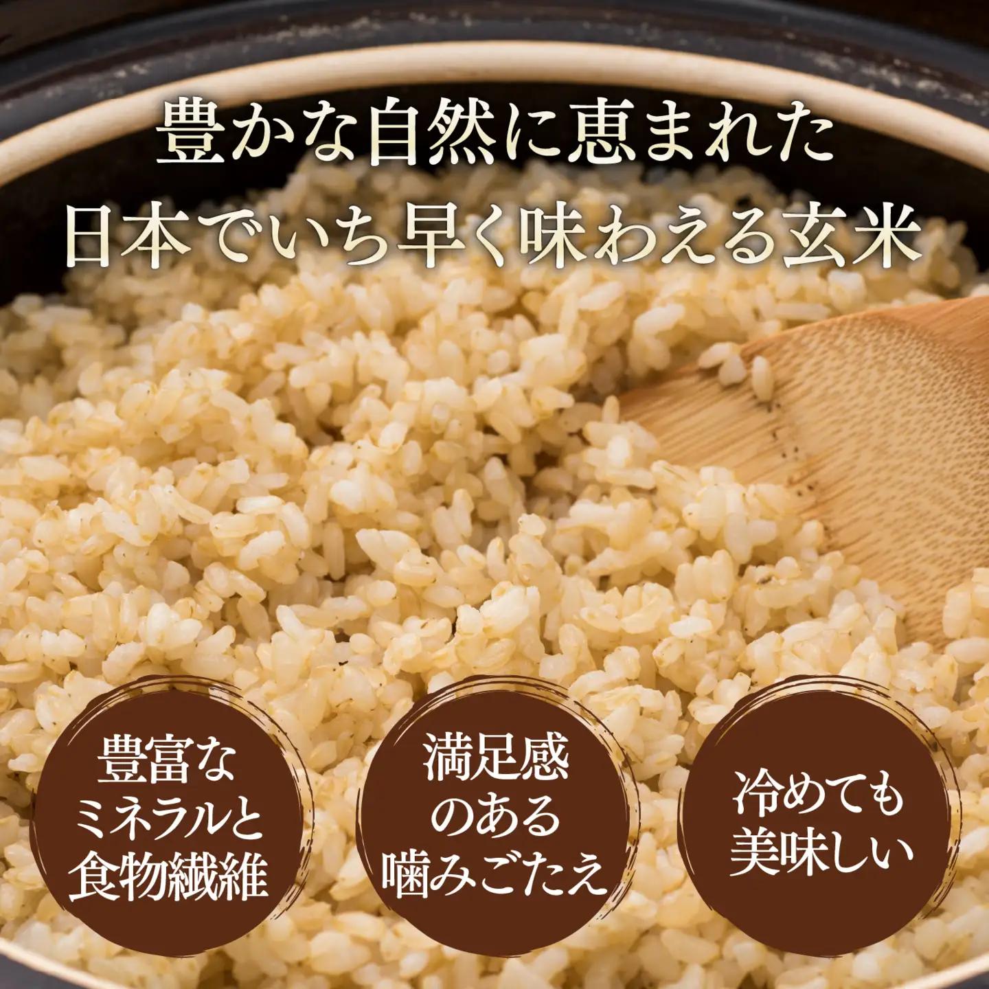 《令和8年産米 新米》 種子島産 玄米 コシヒカリ5kg 【新栄物産】
