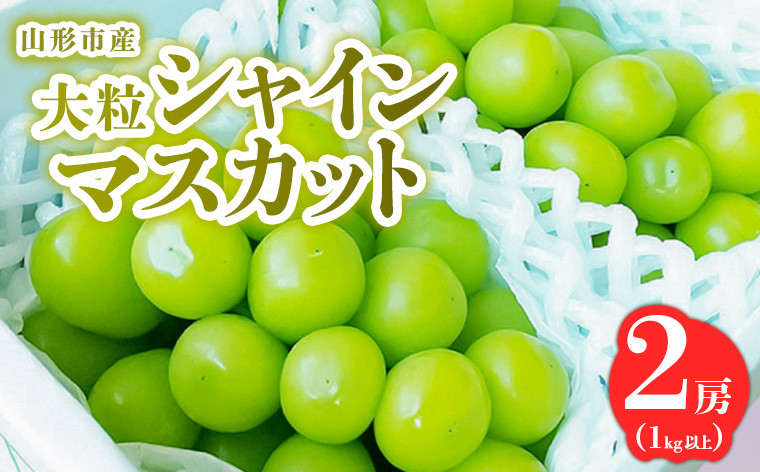 
            山形市産 大粒シャインマスカット 1kg以上 2房 【令和7年産先行予約】FS24-763
          