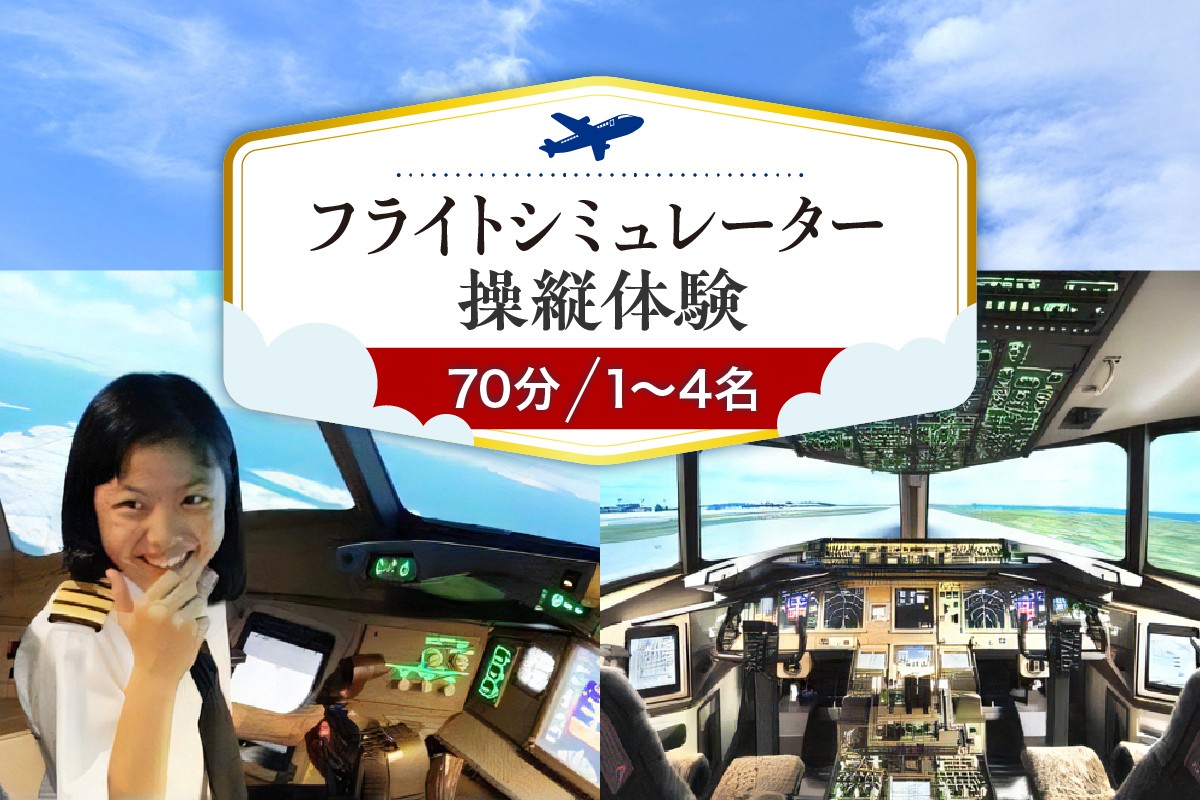 
            フライトシミュレーター操縦体験70分コース
          