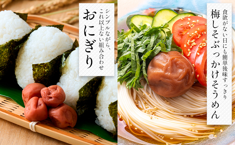 【数量限定！3～7営業日出荷】紀州 南高梅 梅干し しそ漬け 3袋 送料無料 メール便 ご家庭用 無選別 《3-7営業日以内に発送予定(土日祝日除く)》和歌山県 日高川町 しそ梅 はちみつ梅 しそ は
