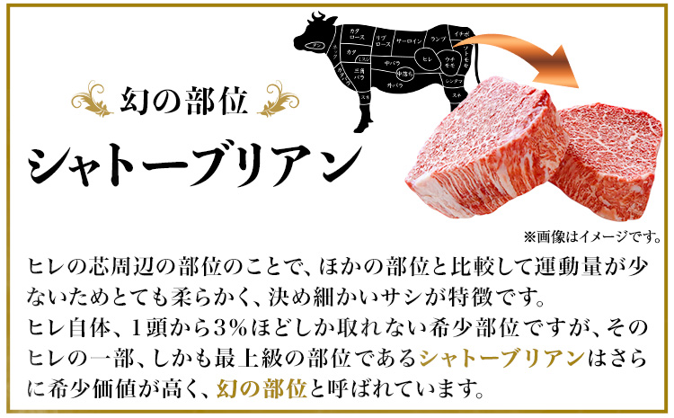 熊野牛 A4 以上 ヒレ シャトーブリアン ステーキ 100g×2枚 霜降り サーロイン ステーキ 180g×2枚 株式会社魚鶴商店《30日以内に出荷予定(土日祝除く)》 和歌山県 日高町 熊野牛 黒