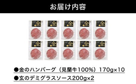 ハンバーグ セット 金 10食 道の駅 萩往還 人気レストラン 玄のハンバーグセット 見蘭牛 牛肉 デミグラスハンバーグ｜HG000598
