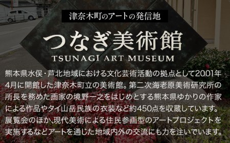 つなぎ美術館 グッズセット 6点《30日以内に順次出荷(土日祝を除く)》熊本県 葦北郡 津奈木町 つなぎ美術館 手ぬぐい マグネット キーホルダー ポストカード 西野達 五十嵐靖晃 大平由香理 柳幸典