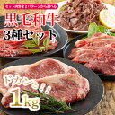 【ふるさと納税】宮崎県産 『黒毛和牛A・Bセット(1kg)』ステーキ・焼肉・切り落とし・スライス 15000円 1万円台 故郷納税 赤身肉 お肉 牛肉 国産ブランド牛 贈答 ギフト 3種 冷凍 贈り物 プレゼント 送料無料 オンラインワンストップ対応