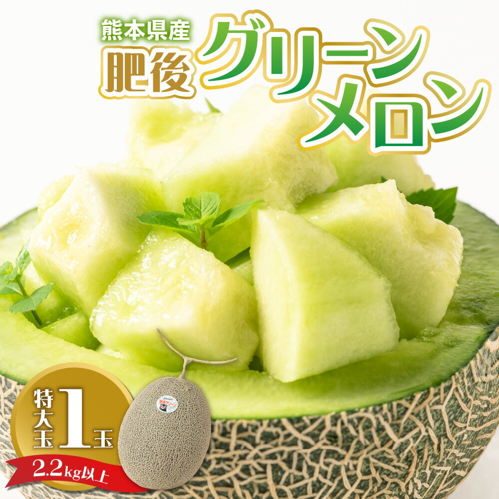 【ふるさと納税】 【先行予約】 熊本県産 肥後グリーンメロン 特大玉 1玉（2.2kg以上） 高糖度 16度～17度 メロン フルーツ 果物 果実 九州 送料無料 【2025年6月上旬より順次発送】