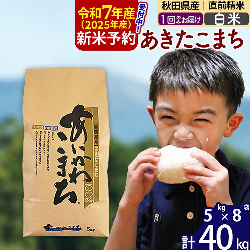 【ふるさと納税】※令和7年産 新米予約※秋田県産 あきたこまち 40kg【白米】(5kg小分け袋) 【1回のみお届け】2025産 お米 藤岡農産