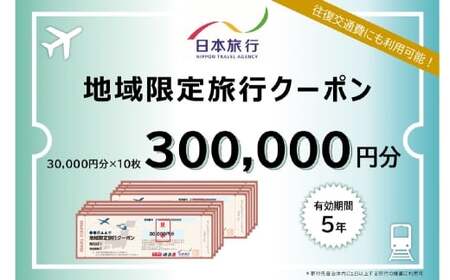 山梨県身延町 日本旅行 地域限定旅行クーポン 300,000円分 旅行 観光 ホテル 旅館 宿泊 クーポン 地域限定 山梨県 身延町