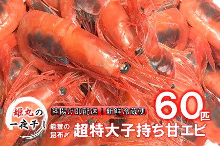 【2026年1月~6月発送】 子持ち甘エビ60匹丸ごと昆布〆 甘エビ 
