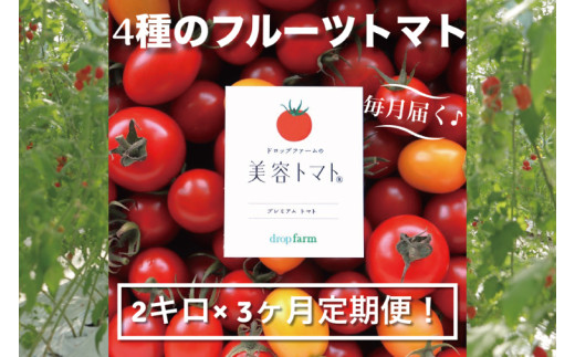 【3ヶ月定期便】【11月より順次発送】ドロップファームの美容トマトおまかせ2kg箱(４種ミックス)【とまと フルーツトマト 野菜ソムリエ 朝採れ アイコ イエローアイコ 小鈴 フルティカ 野菜 フレッ