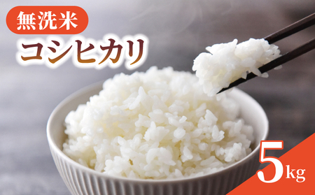 コシヒカリ 5kg 令和7年産 新米 白米 コシヒカリ 千葉県
