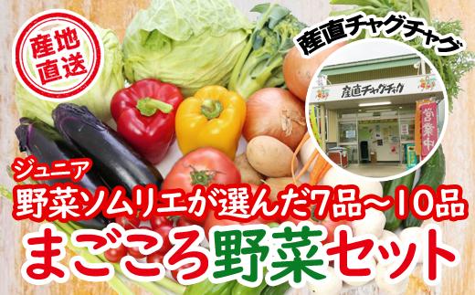 
滝沢まごころ野菜セット（７品から１０品）【滝沢産業開発】/ 野菜 やさい セット 詰め合わせ
