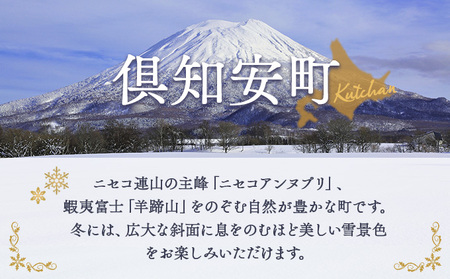 北海道倶知安町　日本旅行　地域限定旅行クーポン90,000円分 ツアー 宿泊 旅行 交通 5年 トラベル 宿泊券 チケット スキー スノボ 旅行券 観光 北海道 旅行 ニセコ 倶知安町 