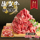 艶さし！佐賀牛切り落とし　1kg(500g×2p）