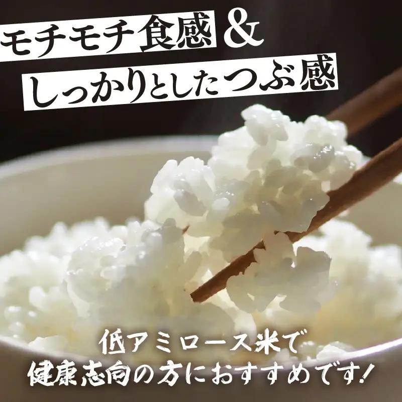 【先行予約】【令和8年産】化学肥料不使用 ふくむすめ 精米 5kg / 白米 米 福井県あわら市産 美味しい 特別栽培米 減農薬 安心な米 旨味 甘み もっちり 冷蔵保管米 ※2026年9月下旬以降順