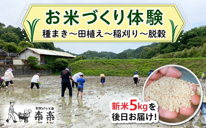 
お米づくり 体験チケット 糸島市 / 天然パン工房楽楽【いとしまごころ】 [AVC065] 体験型 農業 食育
