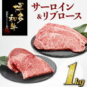 【ふるさと納税】博多和牛　サーロイン＆リブロースセット（計1キロ） ステーキ 国産 黒毛和牛 1kg .C116