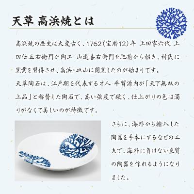 ふるさと納税 天草市 天草 高浜焼 楕円カレー皿 5枚セット(ゴールド)_S026-058 |  | 02