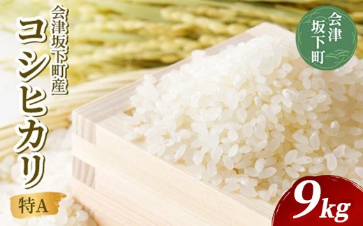 
                  21-T 会津坂下町産 コシヒカリ 9kg （3kg×3） （令和7年産米）（白米） | 米 こめ コメ 精米 白米 9kg コシヒカリ
                