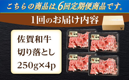 【6回定期便】佐賀和牛 切り落とし 計1kg(250g×4p)【一ノ瀬畜産】[NAC166]