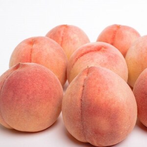 和歌山の厳選白桃 約1kg【白鳳・清水白桃・川中島】【化粧箱入り】【配送不可地域：離島・北海道・沖縄県・東北】【1710271】