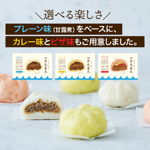 さんまんバラエティセット 3箱 セット (1箱 100g 2つ入り 計6個)  プレーン味 カレー味 ピザ味 冷凍 惣菜 軽食 おやつ 朝食 点心 中華まん ピザまん カレーまん 大船渡 三陸 岩手県