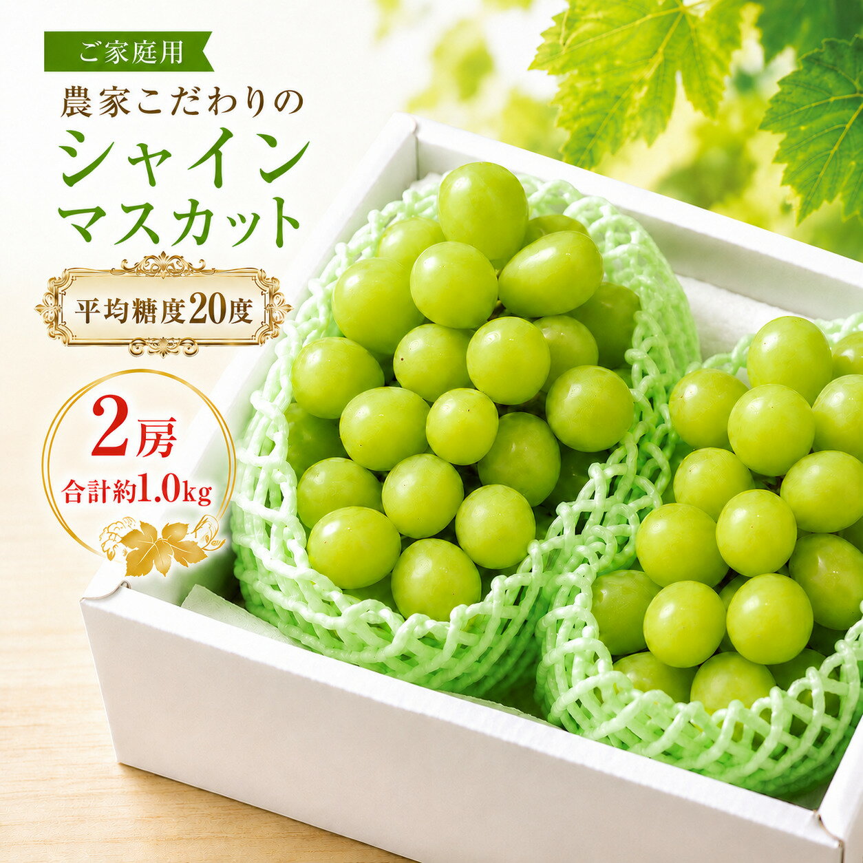 【ふるさと納税】ぶどう 2026年 先行予約 【平均糖度20度】 ご家庭用 農家こだわりの シャイン マスカット 2房 合計約1.0kg ブドウ 葡萄 岡山県産 国産 フルーツ 果物 シャイン マスカット Nini farm 農家 直送 お届け：2026年9月16日〜2026年10月25日