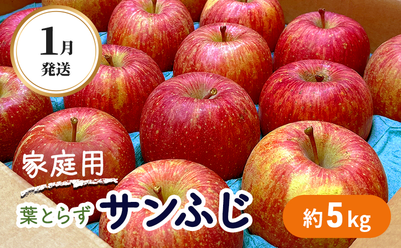 1月発送 家庭用 葉とらず サンふじ 約5kg【弘前市産・青森りんご 果物類 林檎 リンゴ  】