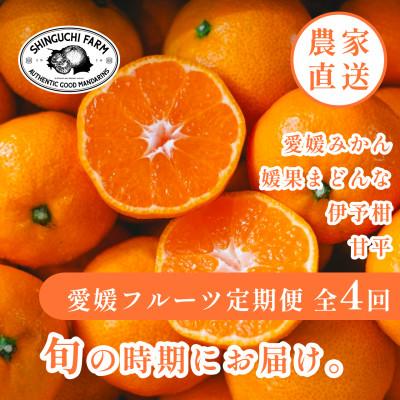 ふるさと納税 八幡浜市 【発送月固定定期便】愛媛の美味しい柑橘 みかん・まどんな・伊予柑・甘平【H70-40】全4回