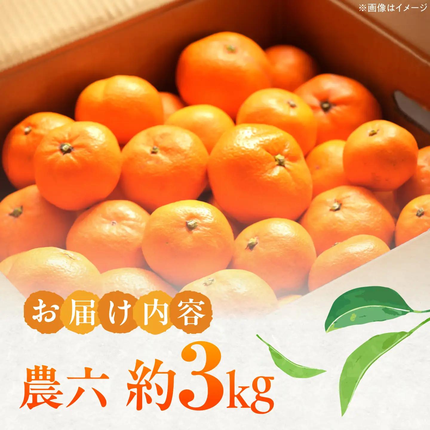 みかん 農六 約3kg【2月上旬から3月下旬まで順次発送】 / フルーツ 果物 蜜柑 ミカン オレンジ 小玉 甘い 先行予約 3kg 愛媛 / 愛媛県砥部町/和氣隆司[BJBF003]