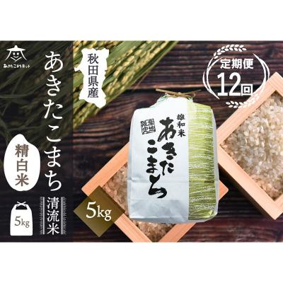 ふるさと納税 秋田市 《定期便12ヶ月》秋田市雄和産あきたこまち 清流米 5kg|15_akn-dd0512h