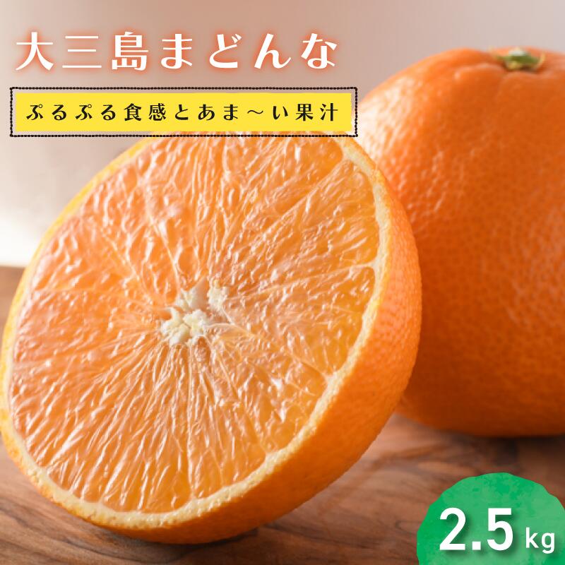 【ふるさと納税】 【数量限定】愛媛県今治産 ホリ田ヤの大三島まどんな 2.5kg 高級 みかん 柑橘類 愛媛ミカン 愛媛みかん 蜜柑 果物 甘い 高級みかん ふるさと納税ミカン ふるさと納税ふるーつ 愛媛ふるさと納税 【毎年売切れ】【2025年12月中旬より順次発送】【KB00810】