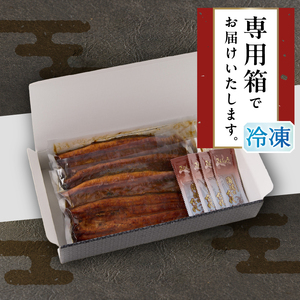 a32-015　静岡県産 うなぎ 蒲焼 真空 パック 約140g×4