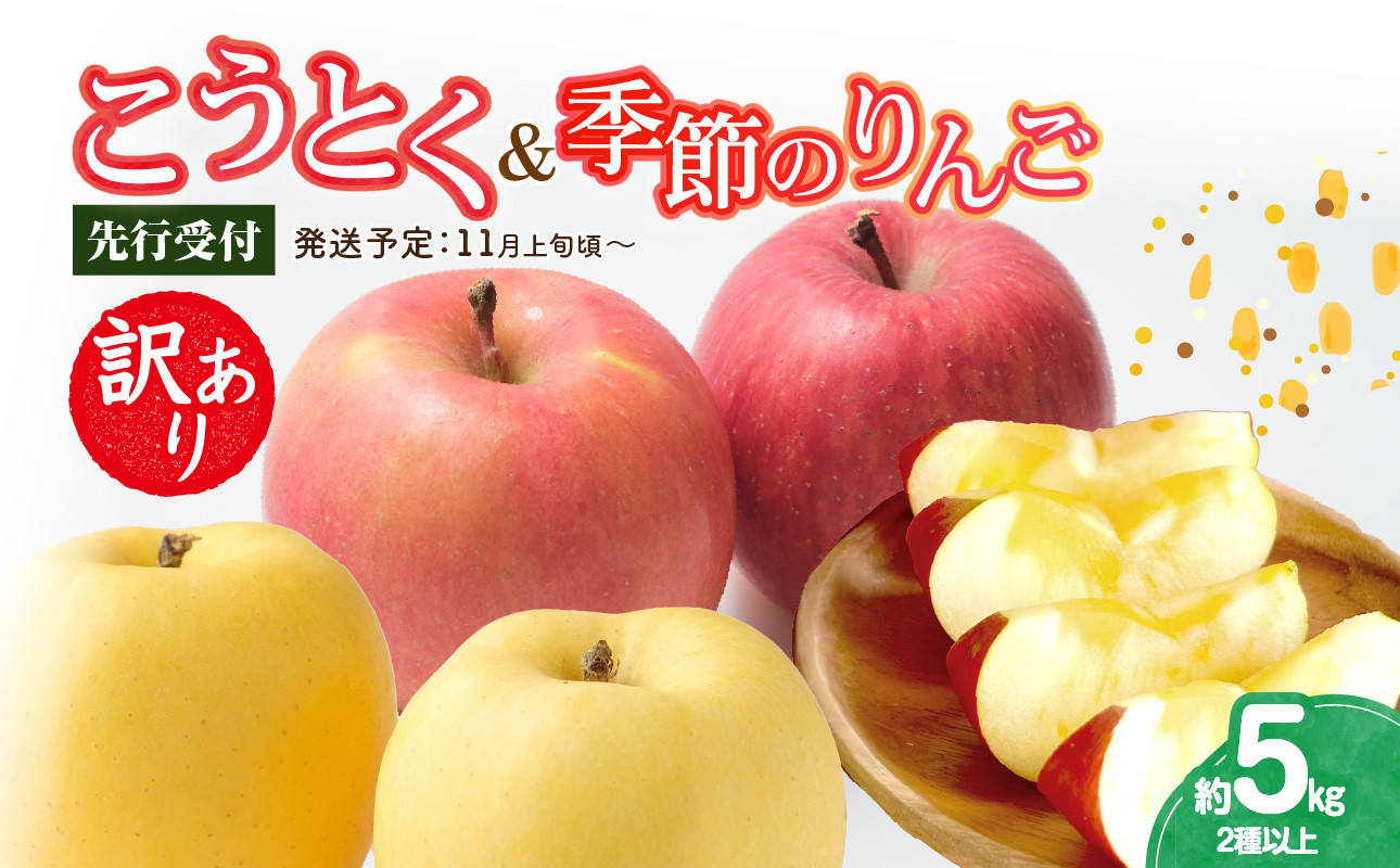 
            《先行受付》訳ありこうとく＆季節のりんご詰合せ約5kg 2種以上【2025年11月上旬～発送予定】【大江町産・山形りんご・りんご専科 清野】 【015-062】
          