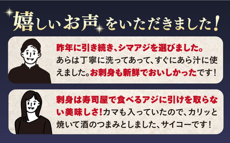 先行予約 シマアジ 堪能5点 [CBW006] アジ