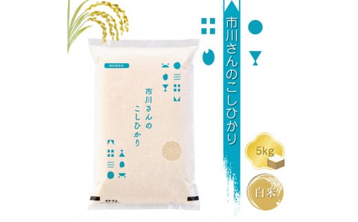 【令和7年産・白米5kg】特別栽培米 市川さんのこしひかり 先行 信州【 コシヒカリ お米 長野県 佐久市 】