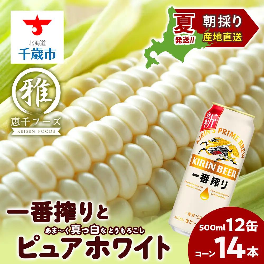 2026年夏発送 キリン一番搾り 500ｍl 12缶＆白いとうもろこしピュアホワイト14本