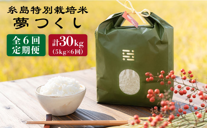 
                  【令和7年産】【 6回 定期便 】 とくべつ の中の とくべつ 糸島 特別栽培米 5kg （ 夢つくし ）《 糸島 》【株式会社やました】 [ARJ007]
                