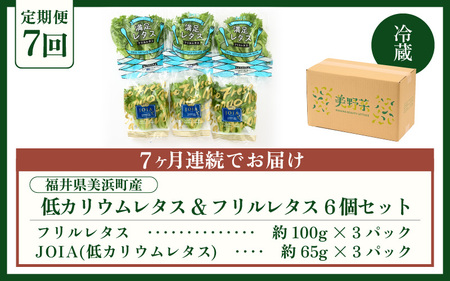 定期便 ≪7ヶ月連続お届け≫ 低カリウムレタス&フリルレタス　計6個セット 全7回 【福井県美浜町産】【野菜 生野菜 レタス サラダ サンドイッチ お弁当 水耕栽培 洗わず食べられる 時短 付け合わせ