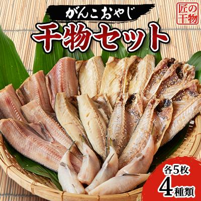 ふるさと納税 いすみ市 がんこおやじ　匠の干物セット