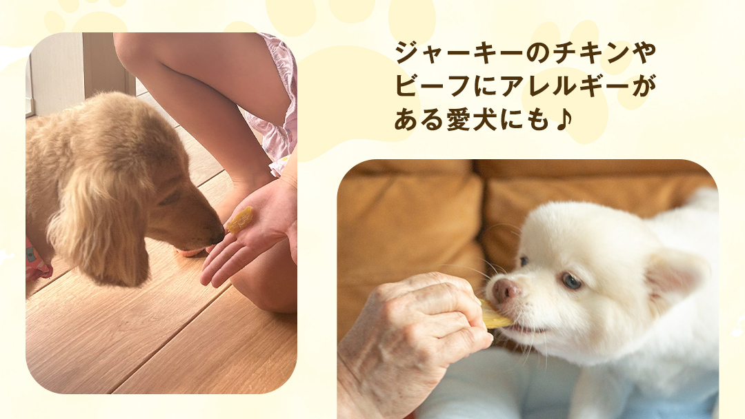 【 訳あり 】犬 の おやつ 干し芋 無選別 ( 100g × 4袋 ) 国産 手作り さつまいも 芋 お菓子 小分け 個包装 少量 栄養 食物繊維 噛みごたえ ドッグフード わんちゃん わんこ ペッ