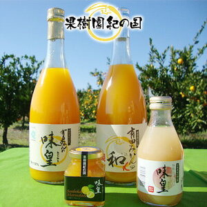 有田みかんの味皇 180ml×12本 セット【和歌山 みかんジュース ミカンジュース ストレート 無添加 果汁100% 有田】_ZY6103n