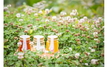 【ギフトセット】国産 巣鴨養蜂園はちみつ「150g」3本