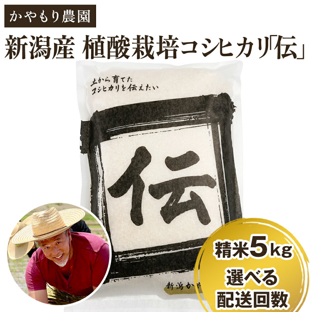 【ふるさと納税】【令和7年産新米】新潟産コシヒカリ「伝」白米真空パック 精米5kg 選べる配送回数（通常配送1回〜定期便12回）《9月下旬～順次出荷》 南麻布の高級料亭で提供される極上米 かやもり農園
