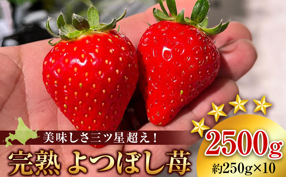 
北海道産 完熟よつぼし苺(約250g×10パック)
